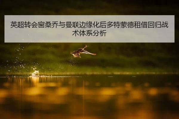 英超转会窗桑乔与曼联边缘化后多特蒙德租借回归战术体系分析